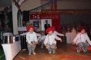 Rosenmontag 2014_139