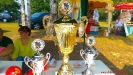 Volleyballturnier 2015_50