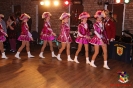 Rosenmontagsball 2018_77
