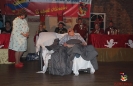 Abendveranstaltung 2020_98