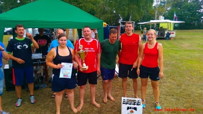 Volleyballturnier 2015_7