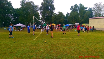 Volleyballturnier 2015_42
