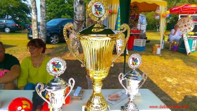Volleyballturnier 2015_50