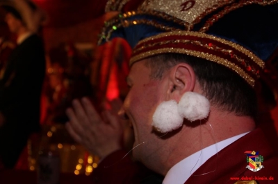 Rosenmontag 2017_47